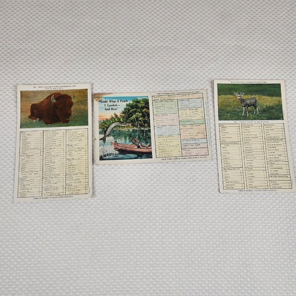 Vintage Postcard Busy People's Correspondence Card Lot Bull Deer Fish Humor Fun